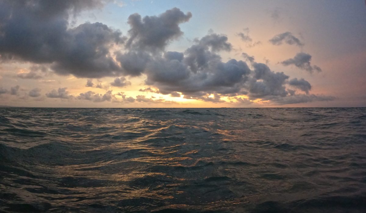 DCIM100GOPROGOPR2839.JPG