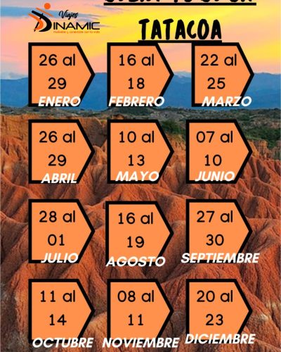 flyer volante vertical para agencia de viajes moderno amarillo y azul (1)